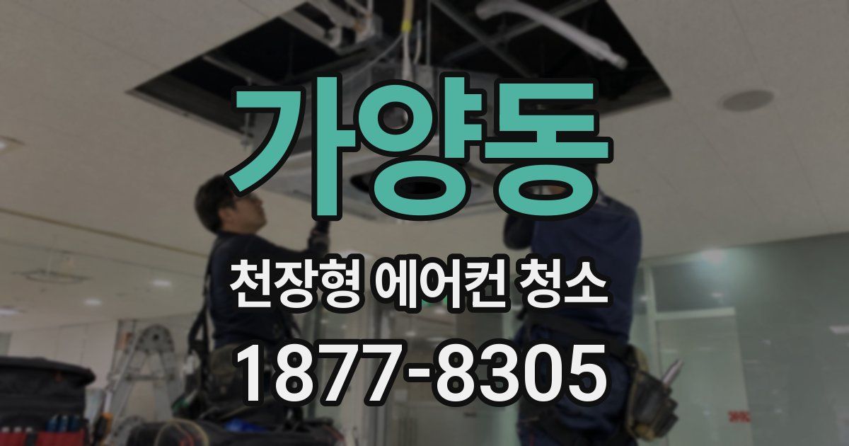 가양동 천장형 에어컨 청소
