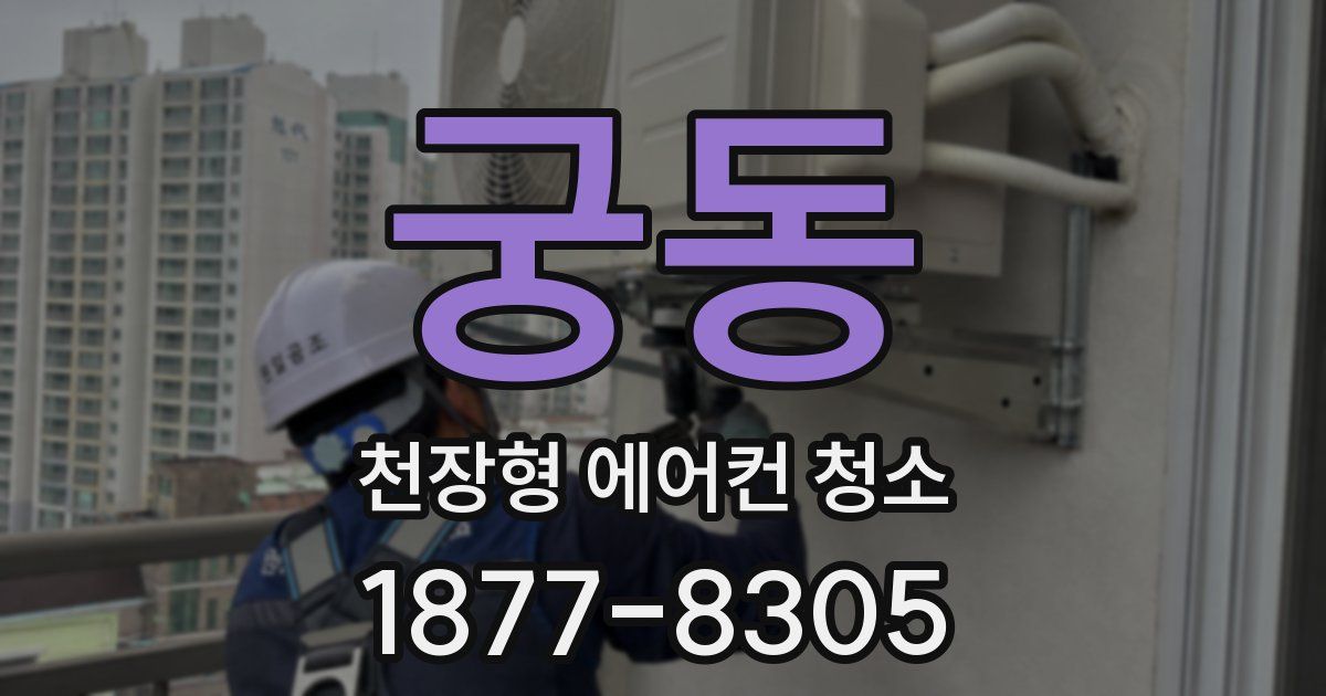 궁동 천장형 에어컨 청소