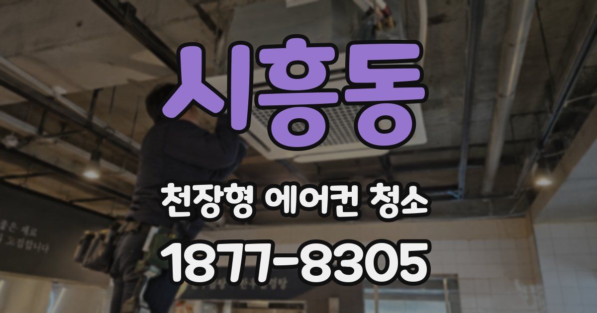 시흥동 천장형 에어컨 청소