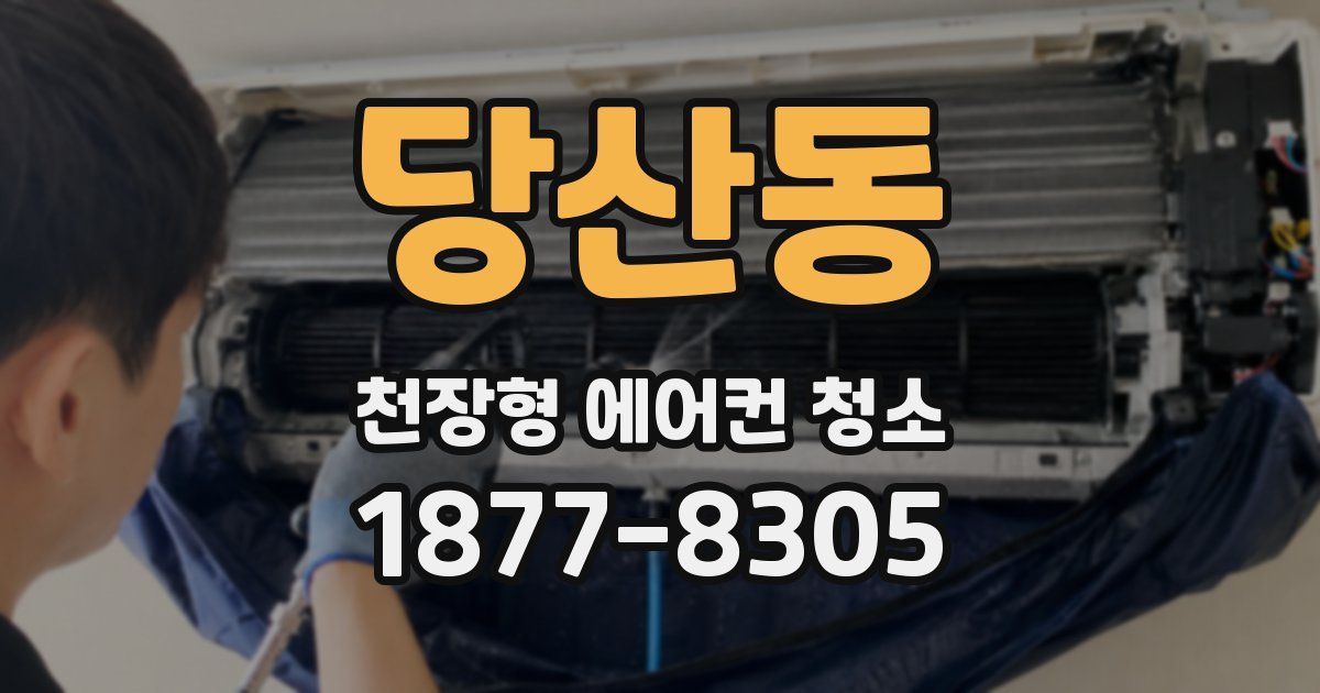 당산동 천장형 에어컨 청소