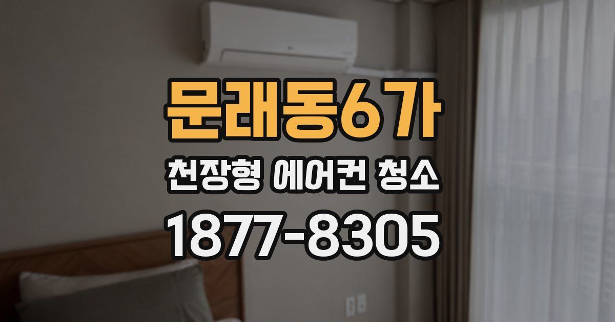 문래동6가 천장형 에어컨 청소