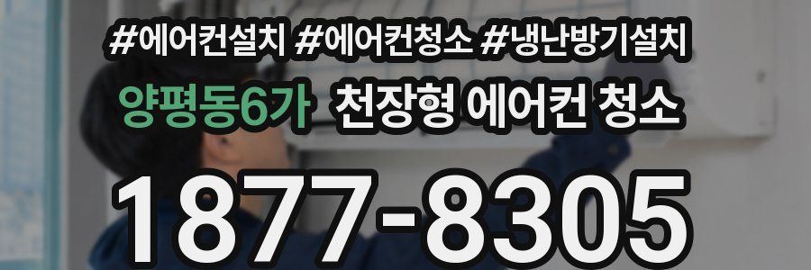양평동6가 천장형 에어컨 청소