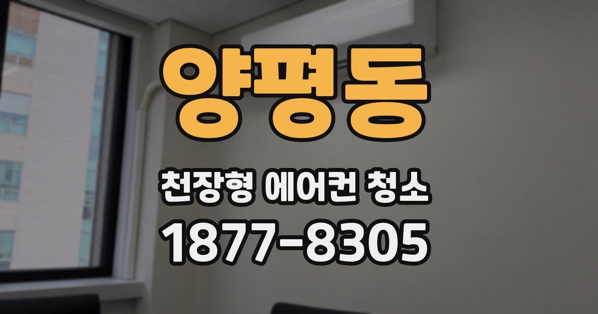 양평동 천장형 에어컨 청소
