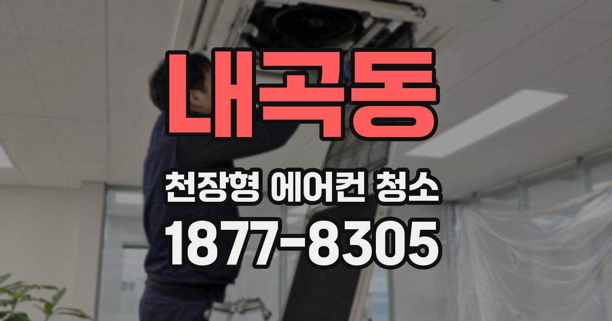 내곡동 천장형 에어컨 청소
