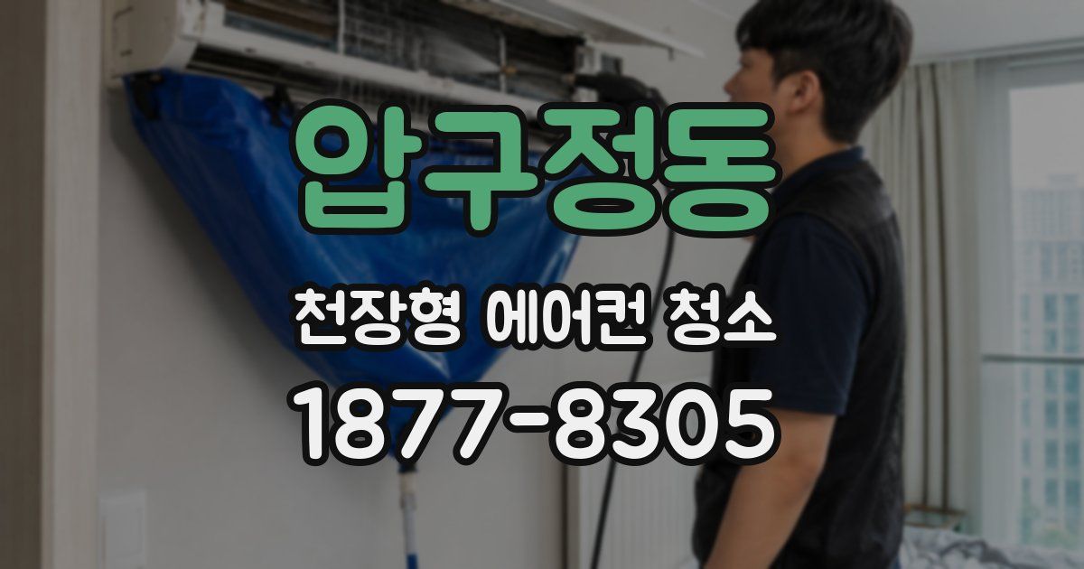 압구정동 천장형 에어컨 청소