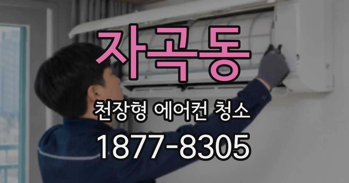 자곡동 천장형 에어컨 청소