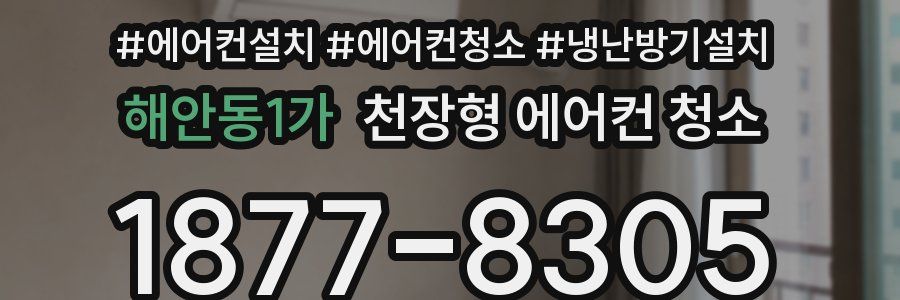 해안동1가 천장형 에어컨 청소