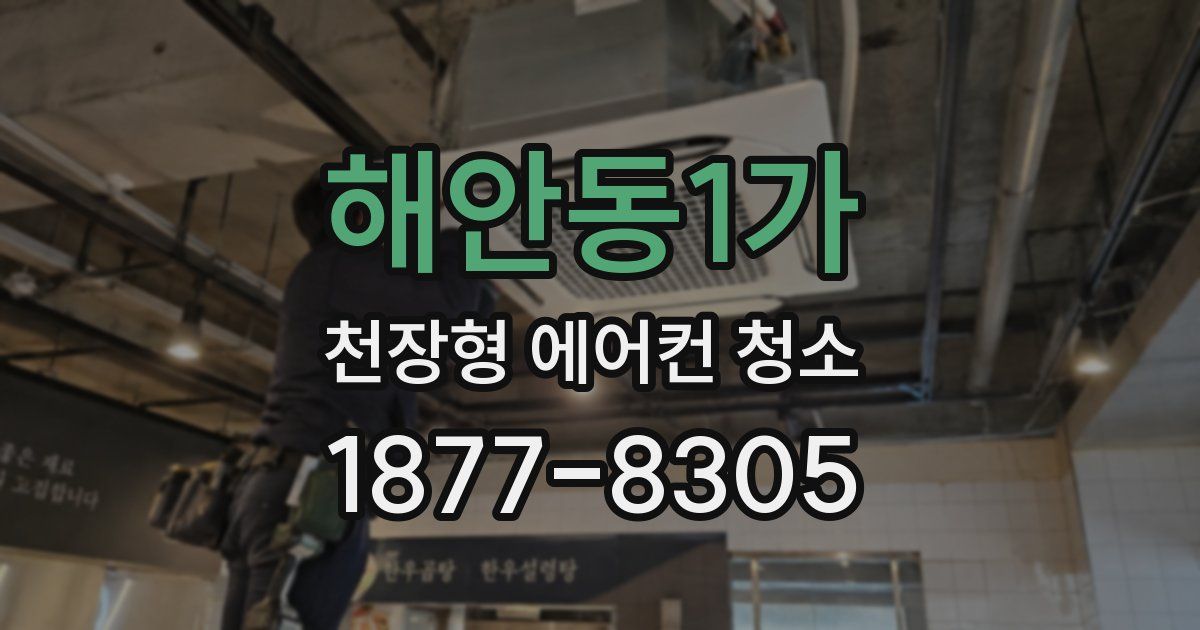 해안동1가 천장형 에어컨 청소