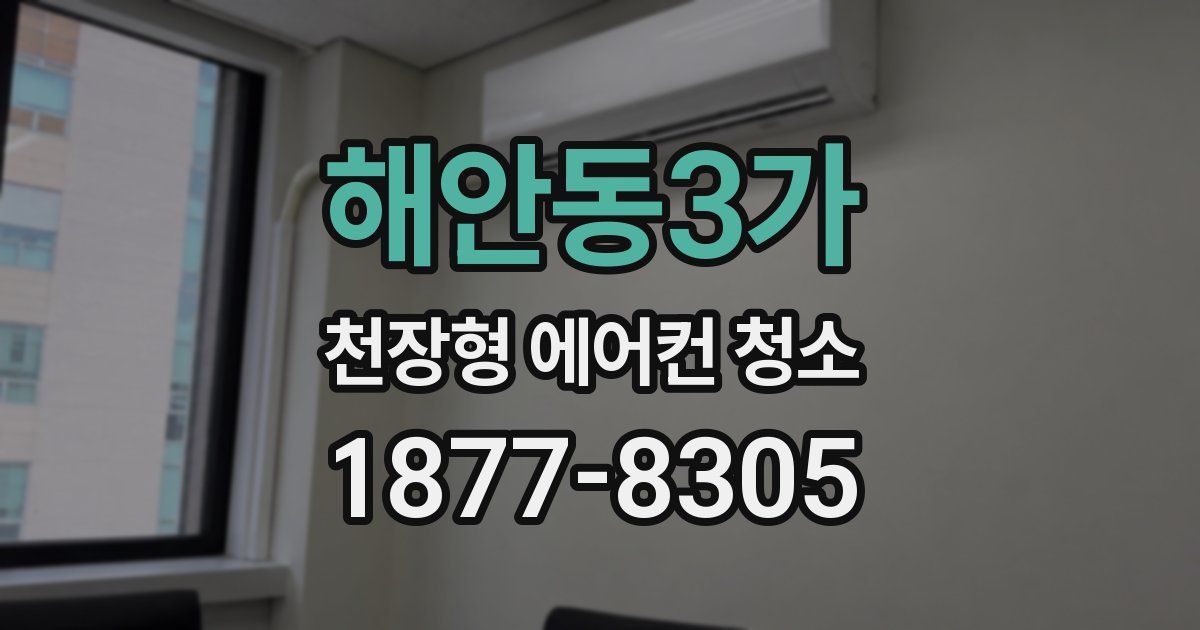해안동3가 천장형 에어컨 청소