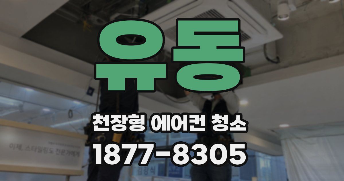 유동 천장형 에어컨 청소