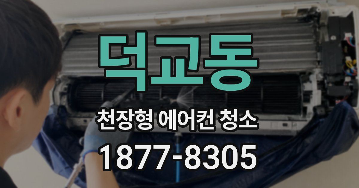 덕교동 천장형 에어컨 청소
