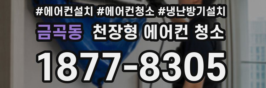 금곡동 천장형 에어컨 청소