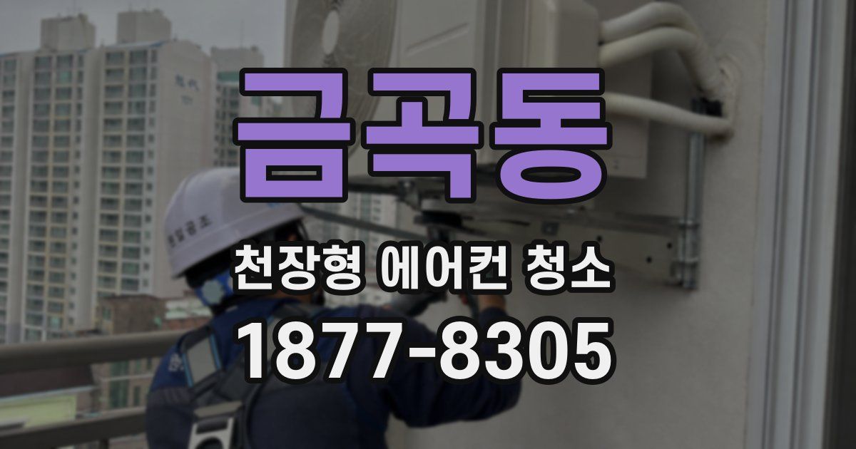 금곡동 천장형 에어컨 청소