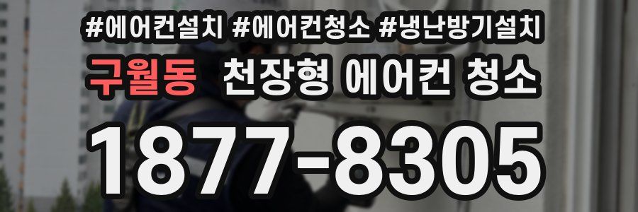 구월동 천장형 에어컨 청소