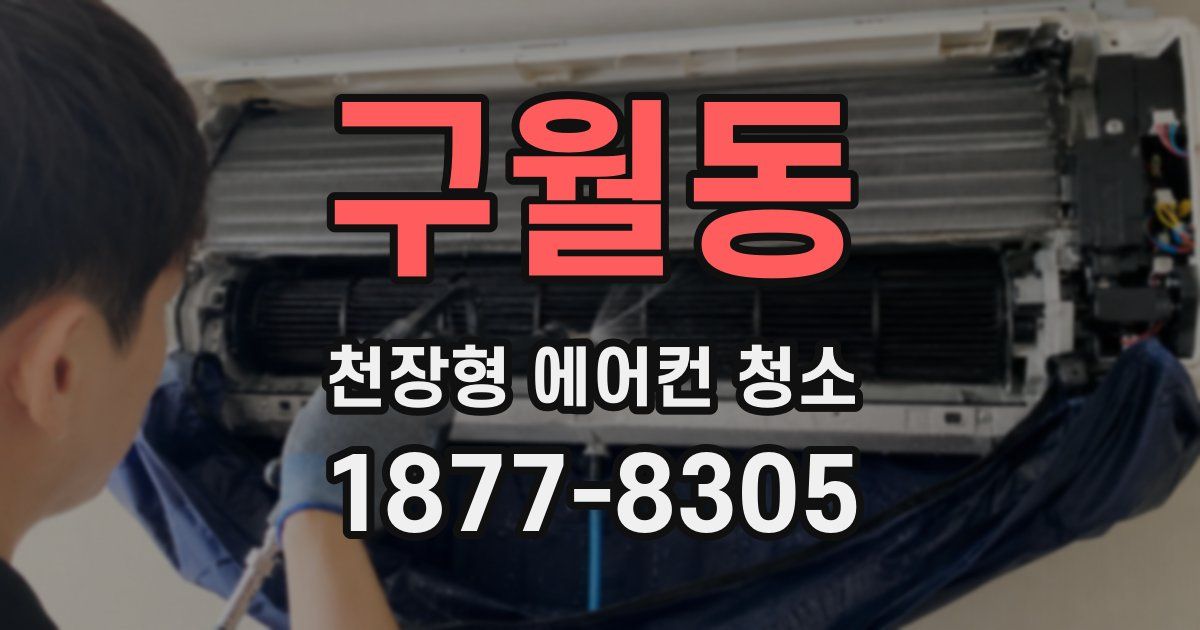 구월동 천장형 에어컨 청소