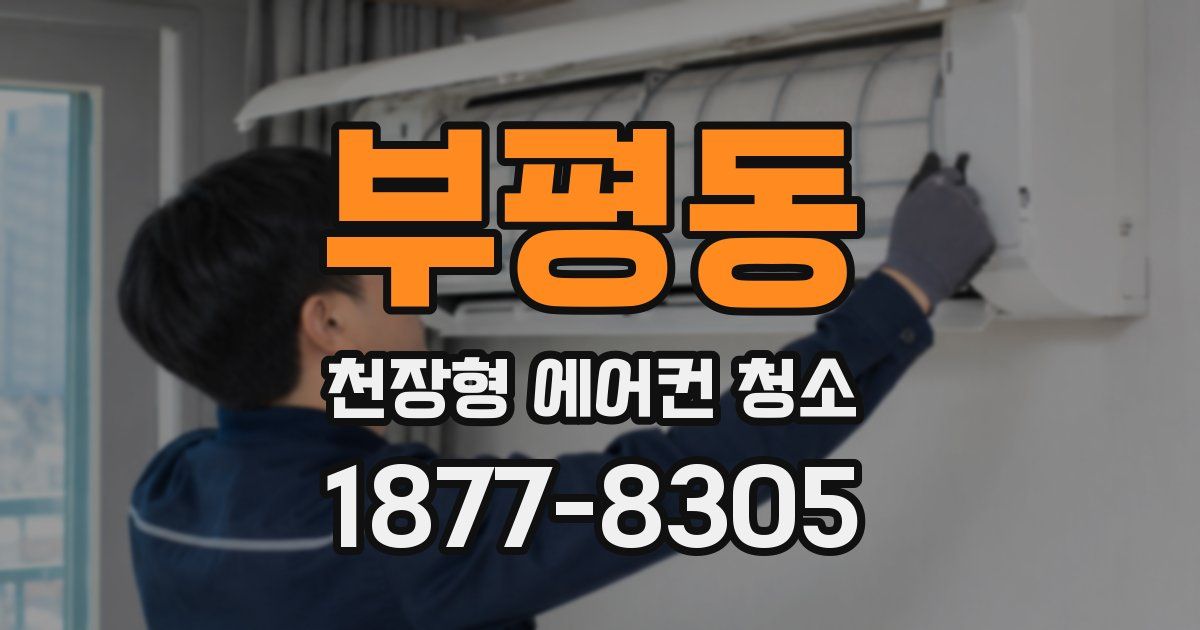 부평동 천장형 에어컨 청소
