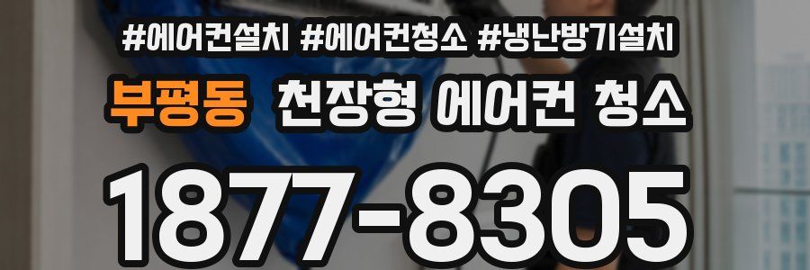 부평동 천장형 에어컨 청소