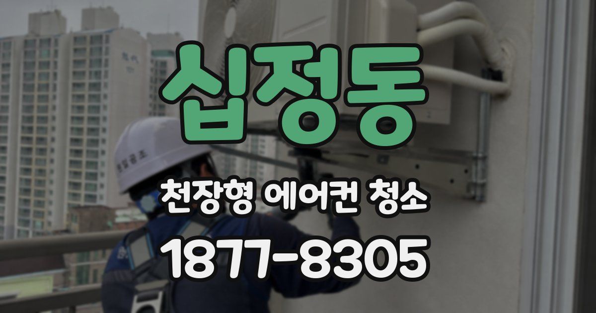 십정동 천장형 에어컨 청소