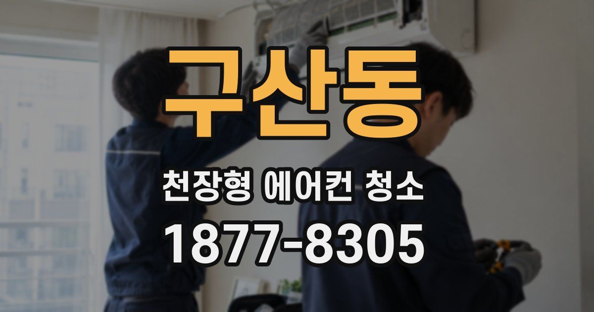 구산동 천장형 에어컨 청소