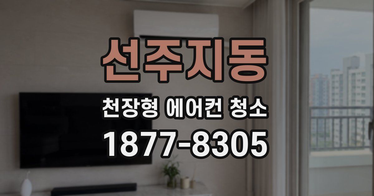 선주지동 천장형 에어컨 청소