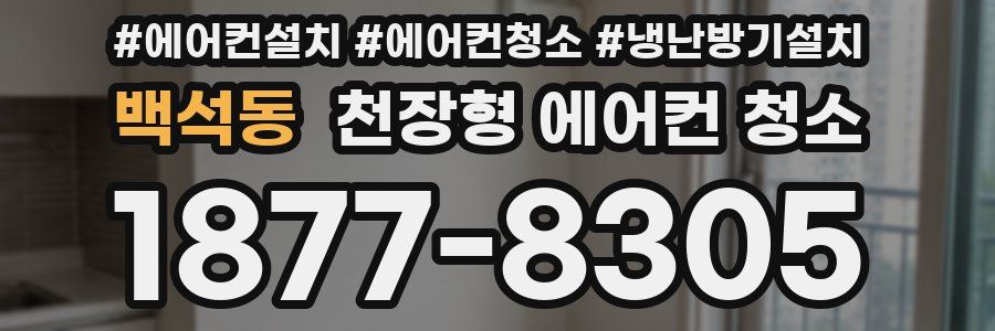 백석동 천장형 에어컨 청소