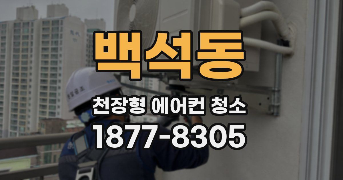 백석동 천장형 에어컨 청소