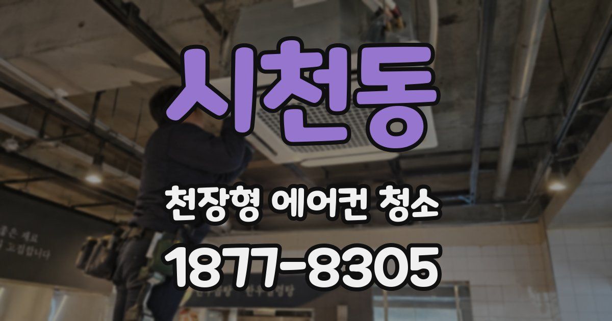 시천동 천장형 에어컨 청소