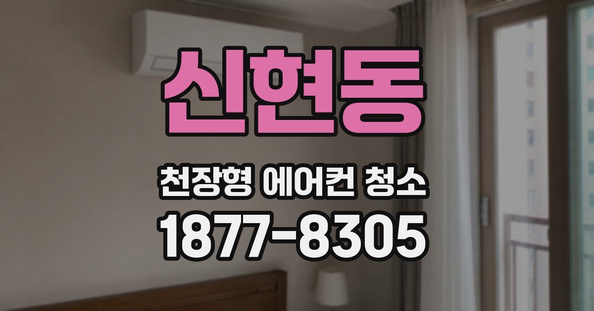 신현동 천장형 에어컨 청소