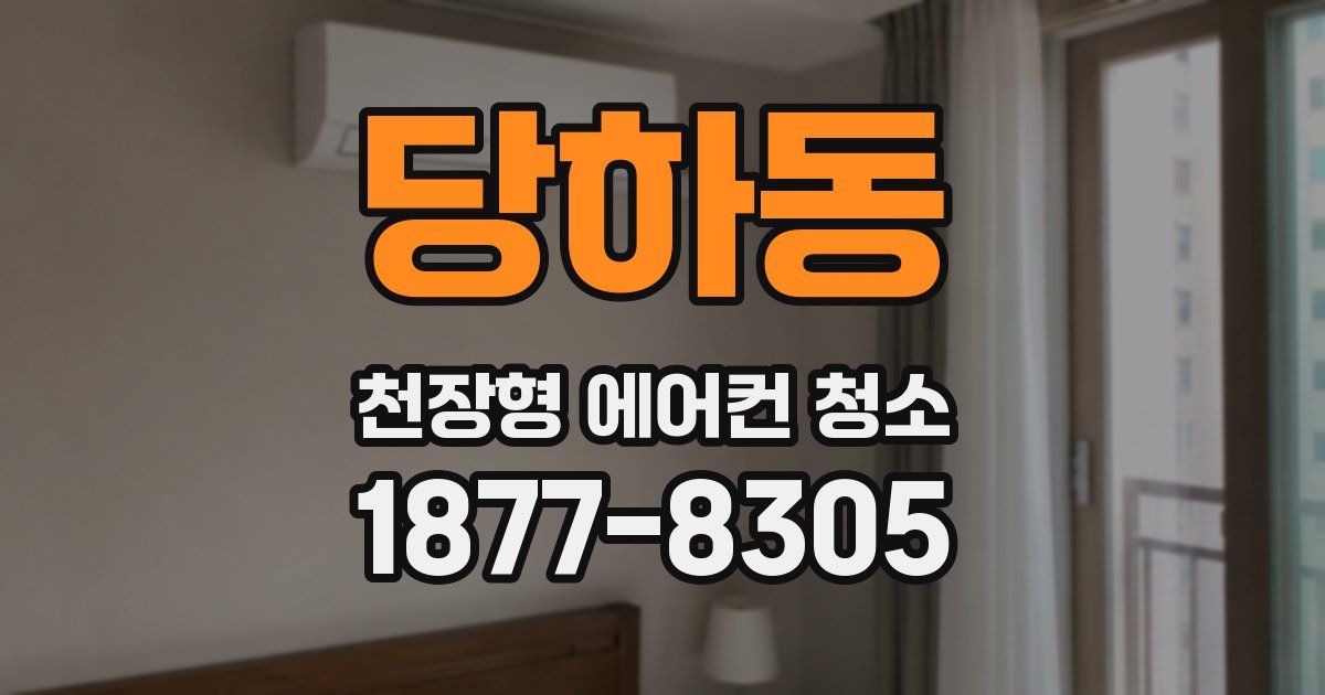 당하동 천장형 에어컨 청소