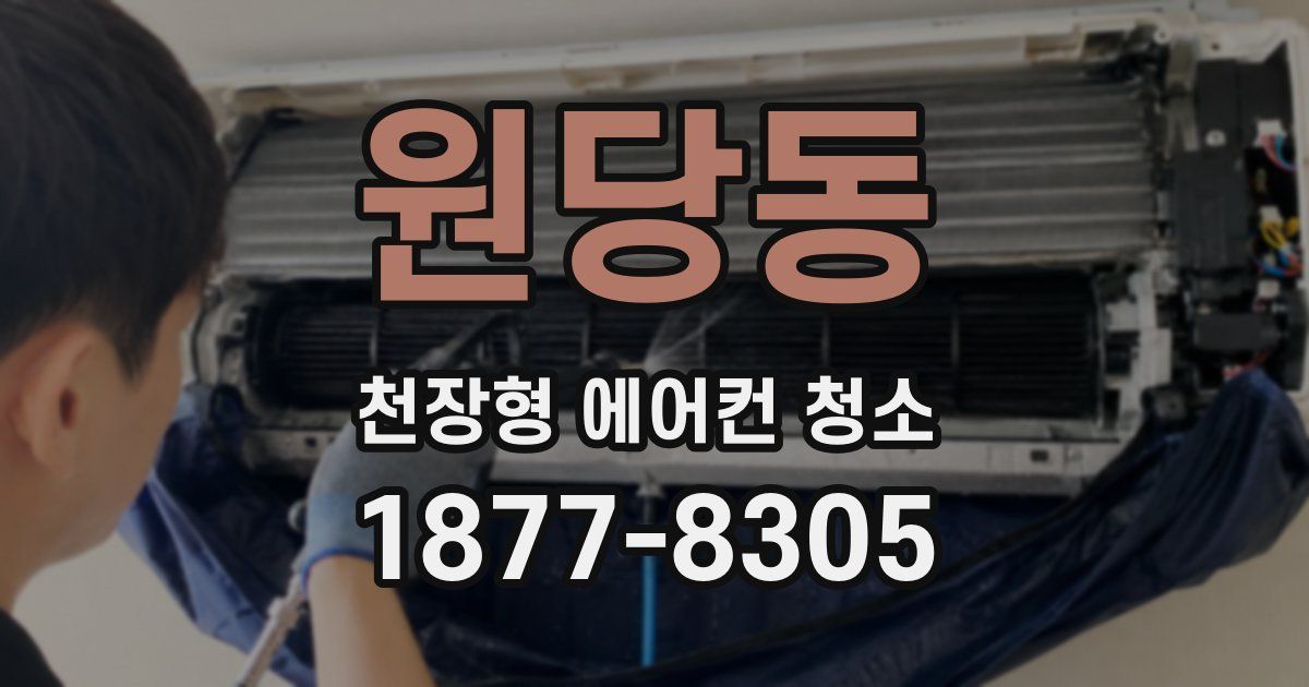 원당동 천장형 에어컨 청소