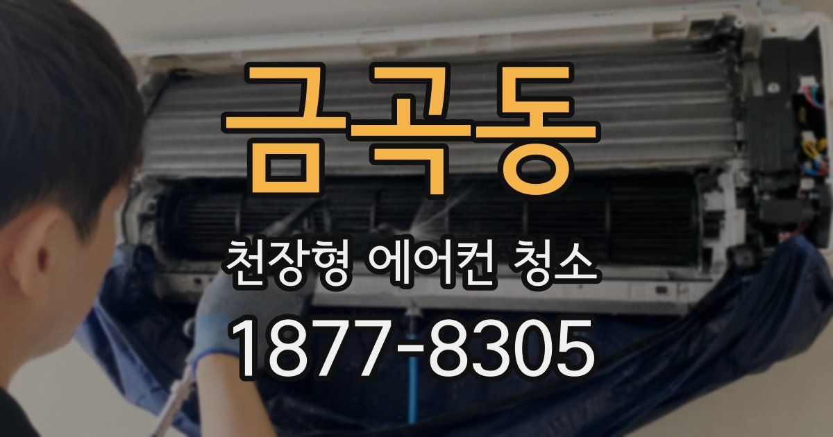 금곡동 천장형 에어컨 청소