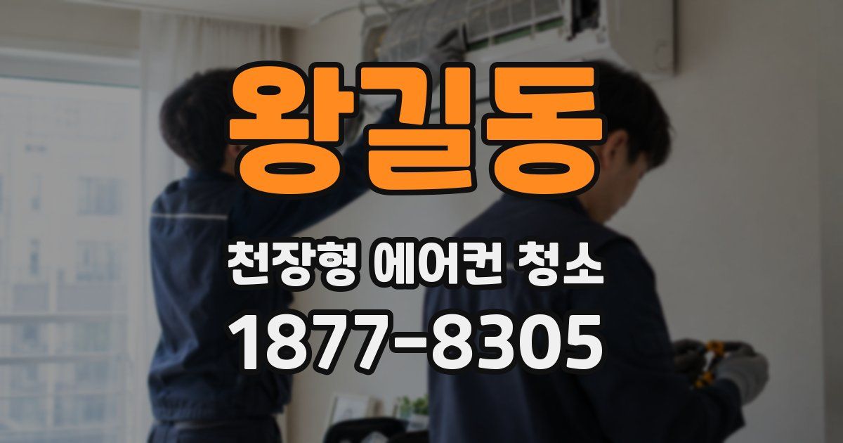 왕길동 천장형 에어컨 청소