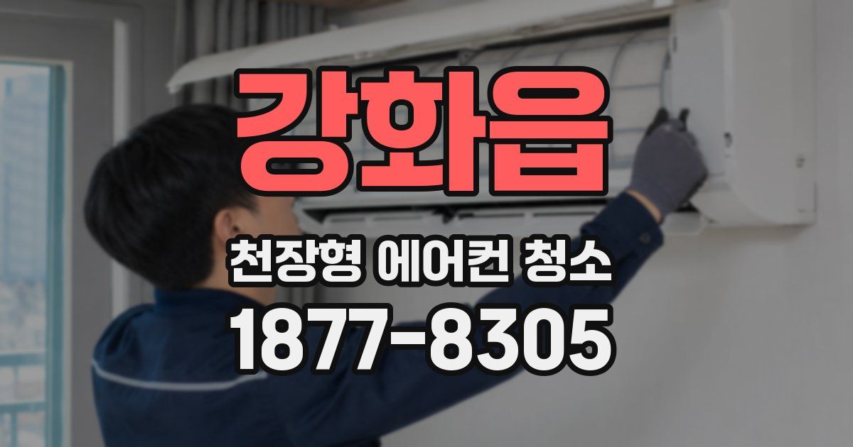 강화읍 천장형 에어컨 청소