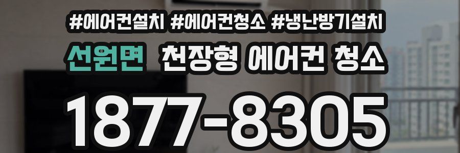 선원면 천장형 에어컨 청소
