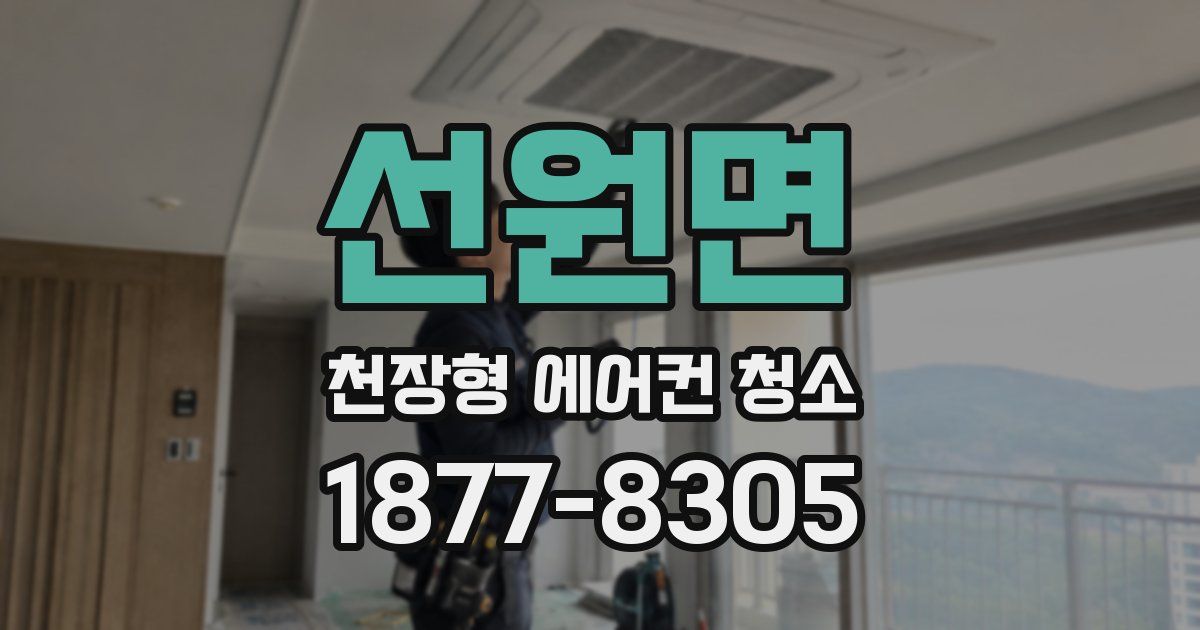 선원면 천장형 에어컨 청소