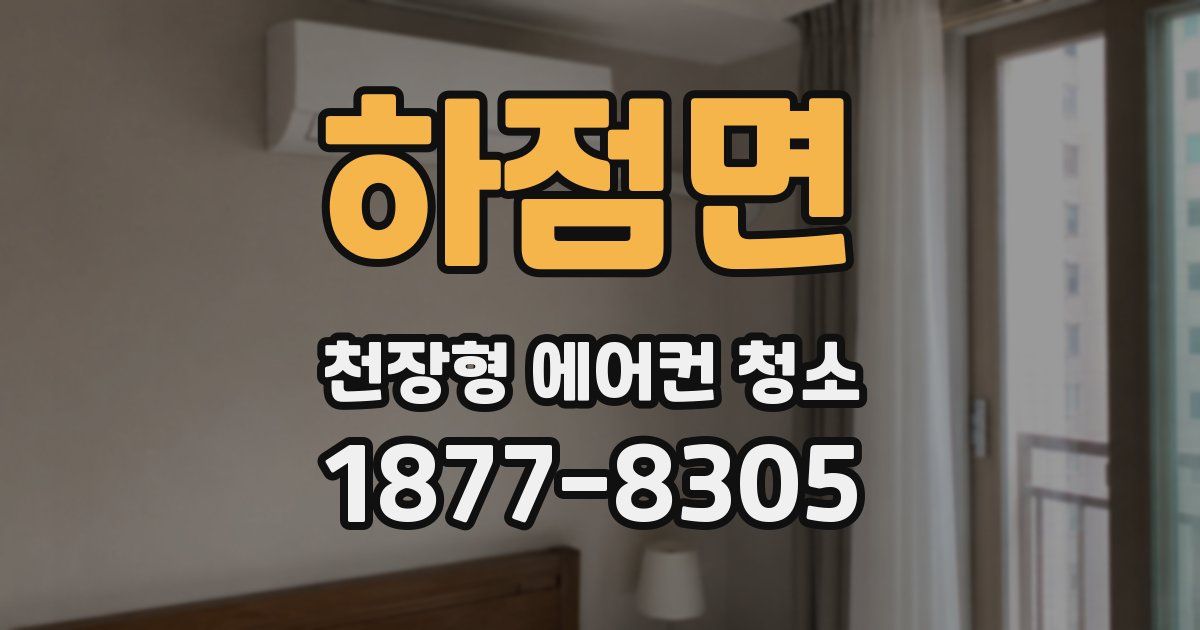 하점면 천장형 에어컨 청소