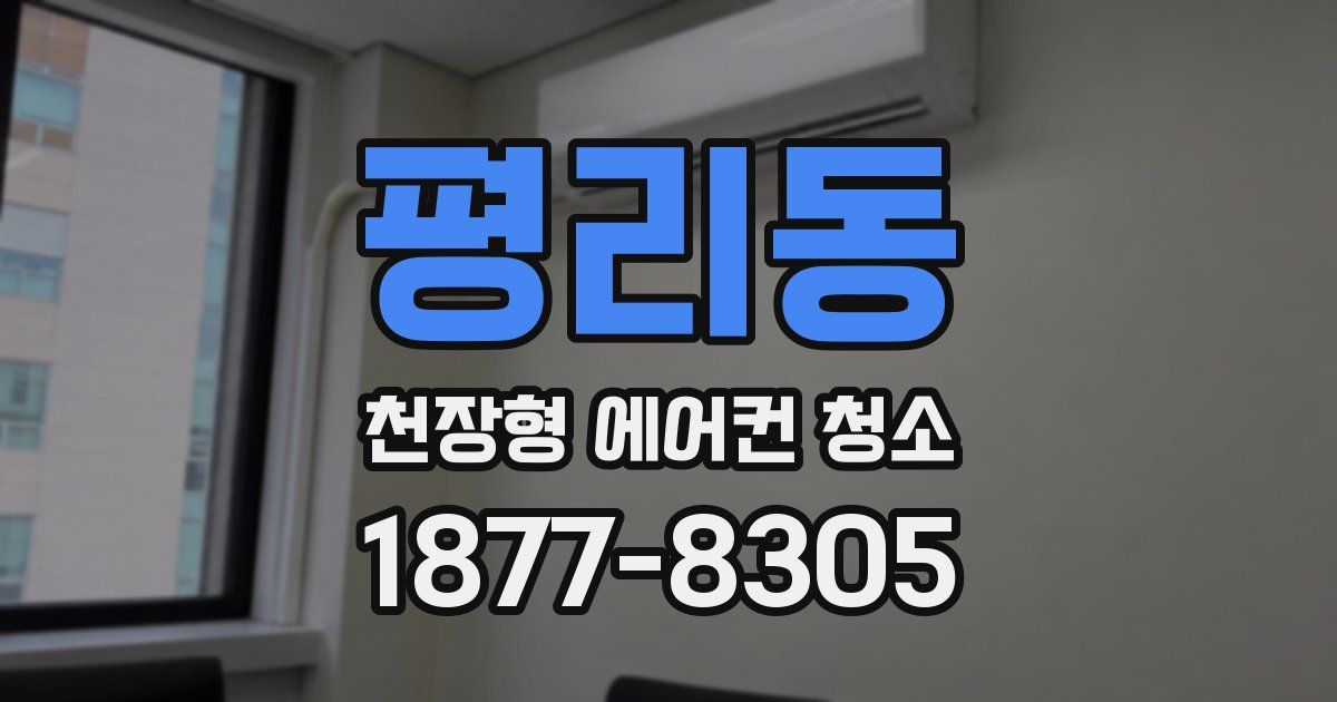 평리동 천장형 에어컨 청소