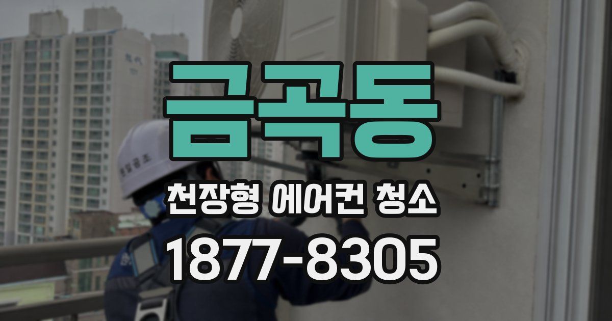 금곡동 천장형 에어컨 청소