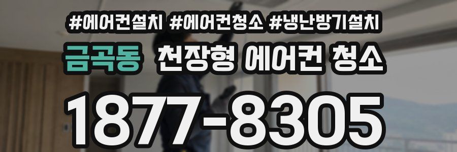 금곡동 천장형 에어컨 청소