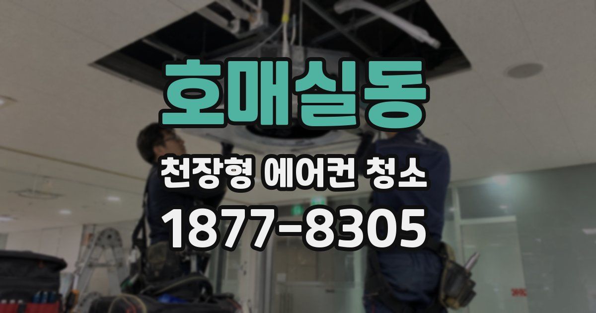 호매실동 천장형 에어컨 청소