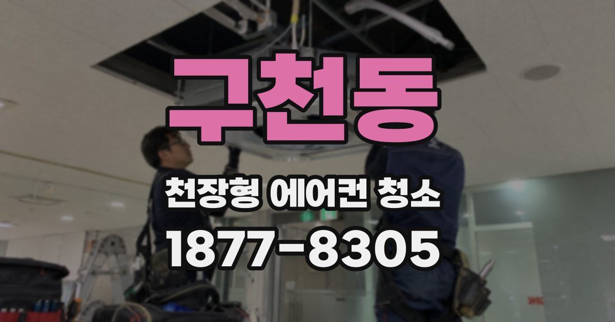 구천동 천장형 에어컨 청소