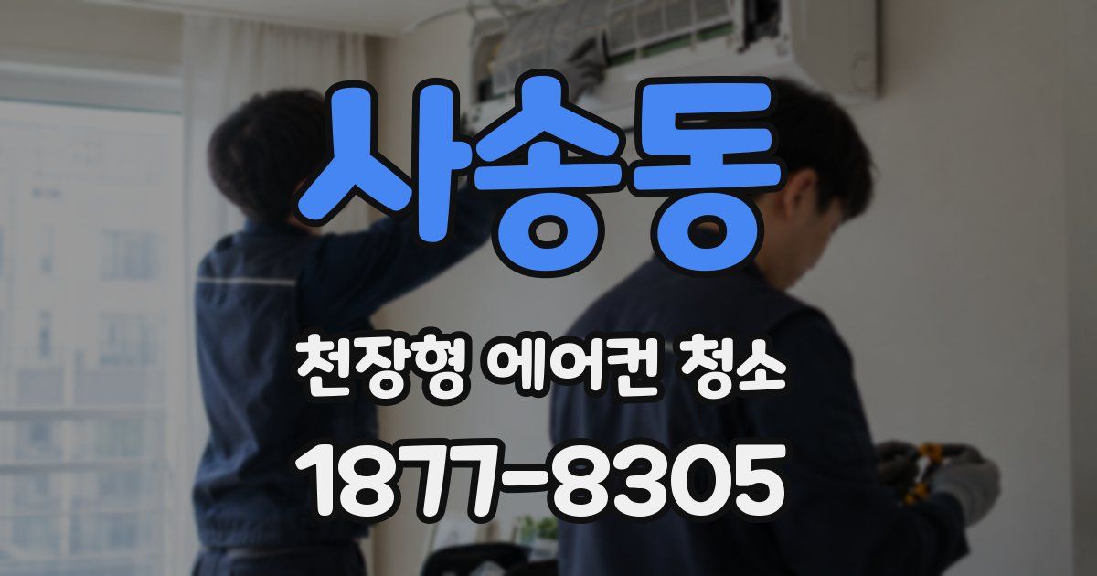 사송동 천장형 에어컨 청소