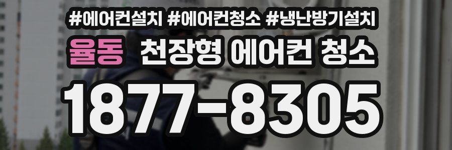 율동 천장형 에어컨 청소