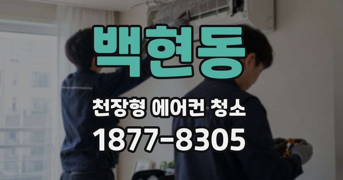 백현동 천장형 에어컨 청소