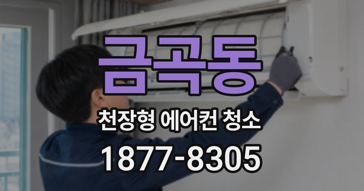 금곡동 천장형 에어컨 청소