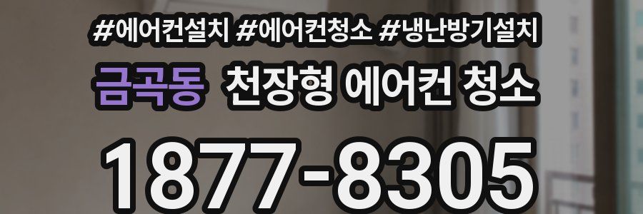 금곡동 천장형 에어컨 청소