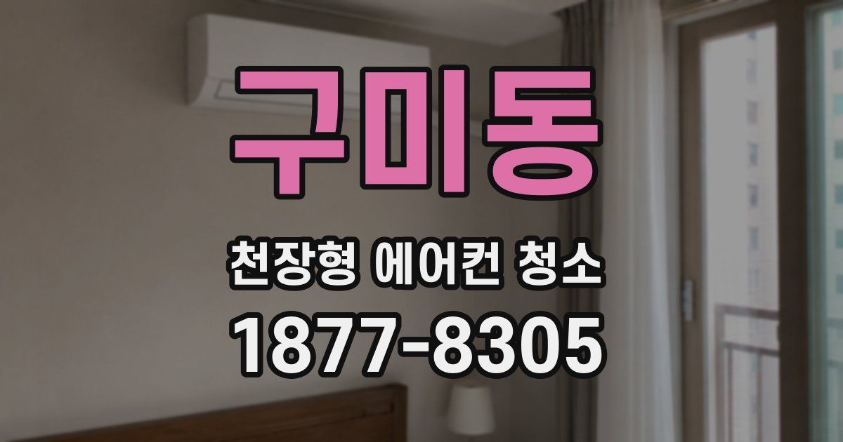 구미동 천장형 에어컨 청소