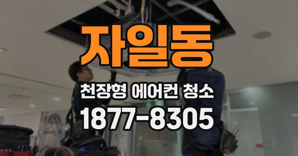 자일동 천장형 에어컨 청소