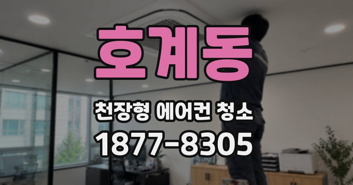 호계동 천장형 에어컨 청소