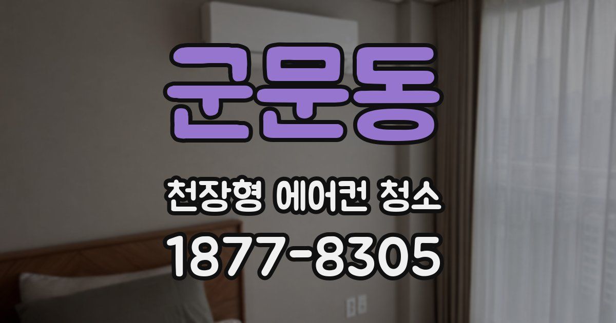 군문동 천장형 에어컨 청소